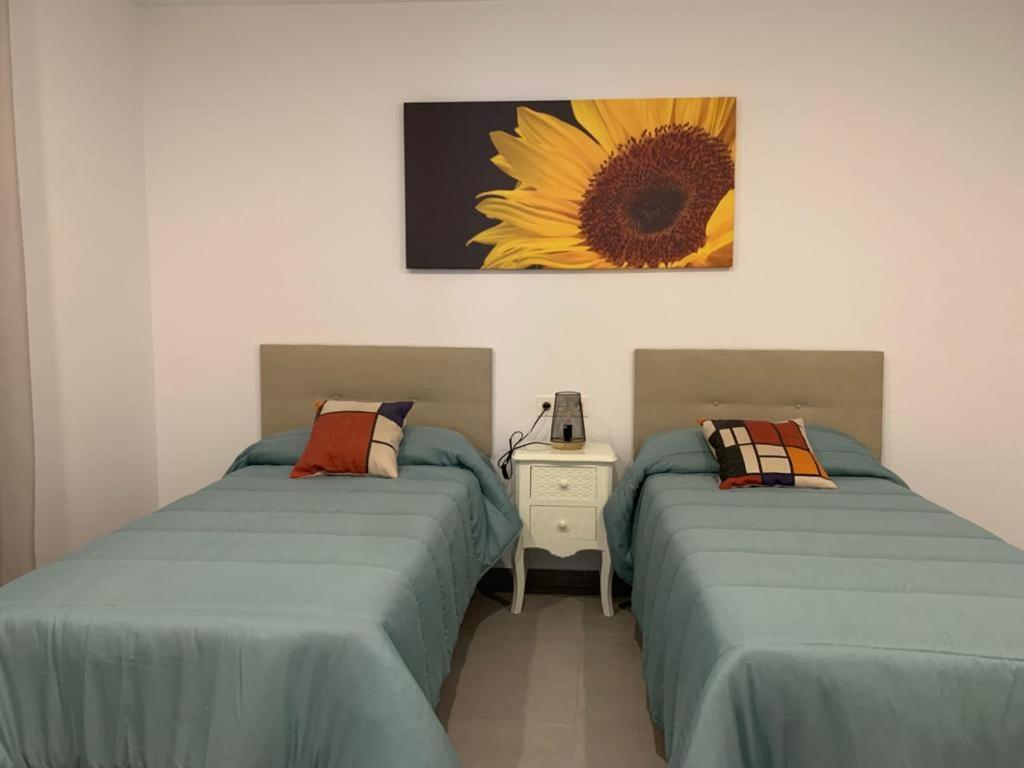 Apartamento Encanto II Conil De La Frontera Dış mekan fotoğraf